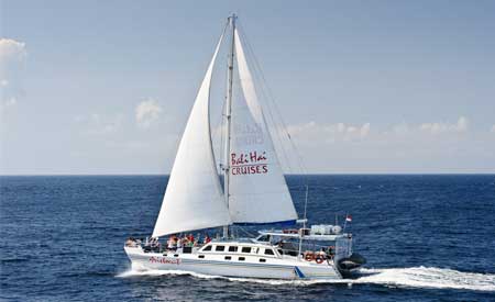 Berlayar ke Nusa Lembongan dengan Aristocat Bali Sailing Cruise